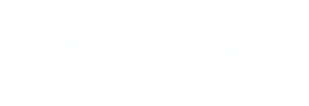 Precision Auto Club